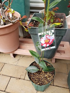 20190311_124856.jpg